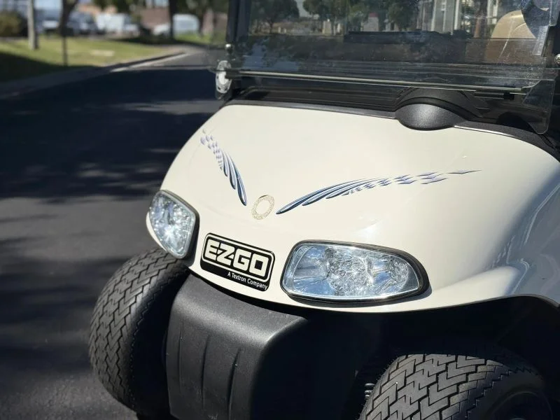 2010 E-Z-GO RXV photo 5