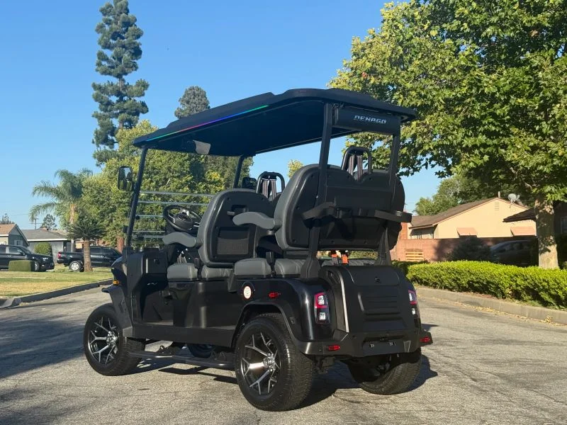 2026 Denago Rover XL photo 6