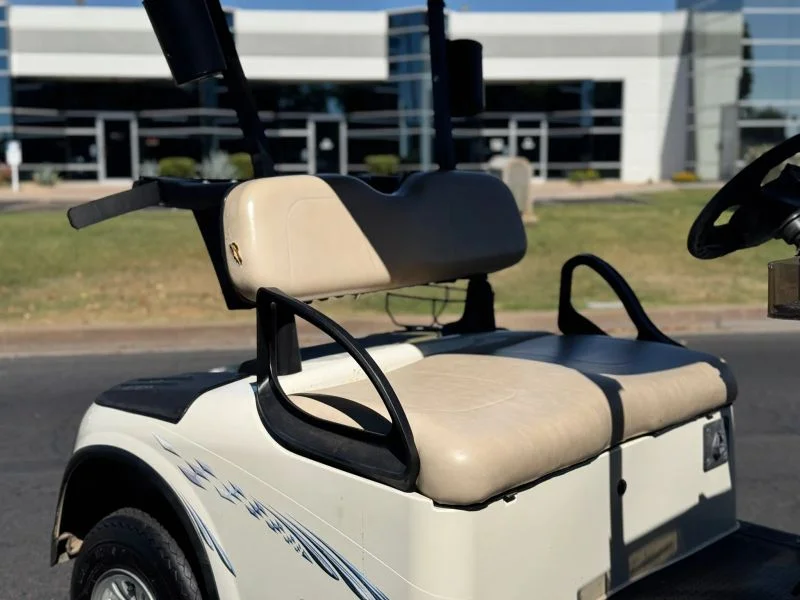 2010 E-Z-GO RXV photo 6