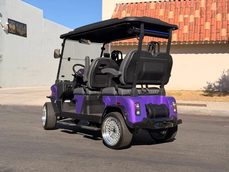 2026 Denago Rover XL photo 5