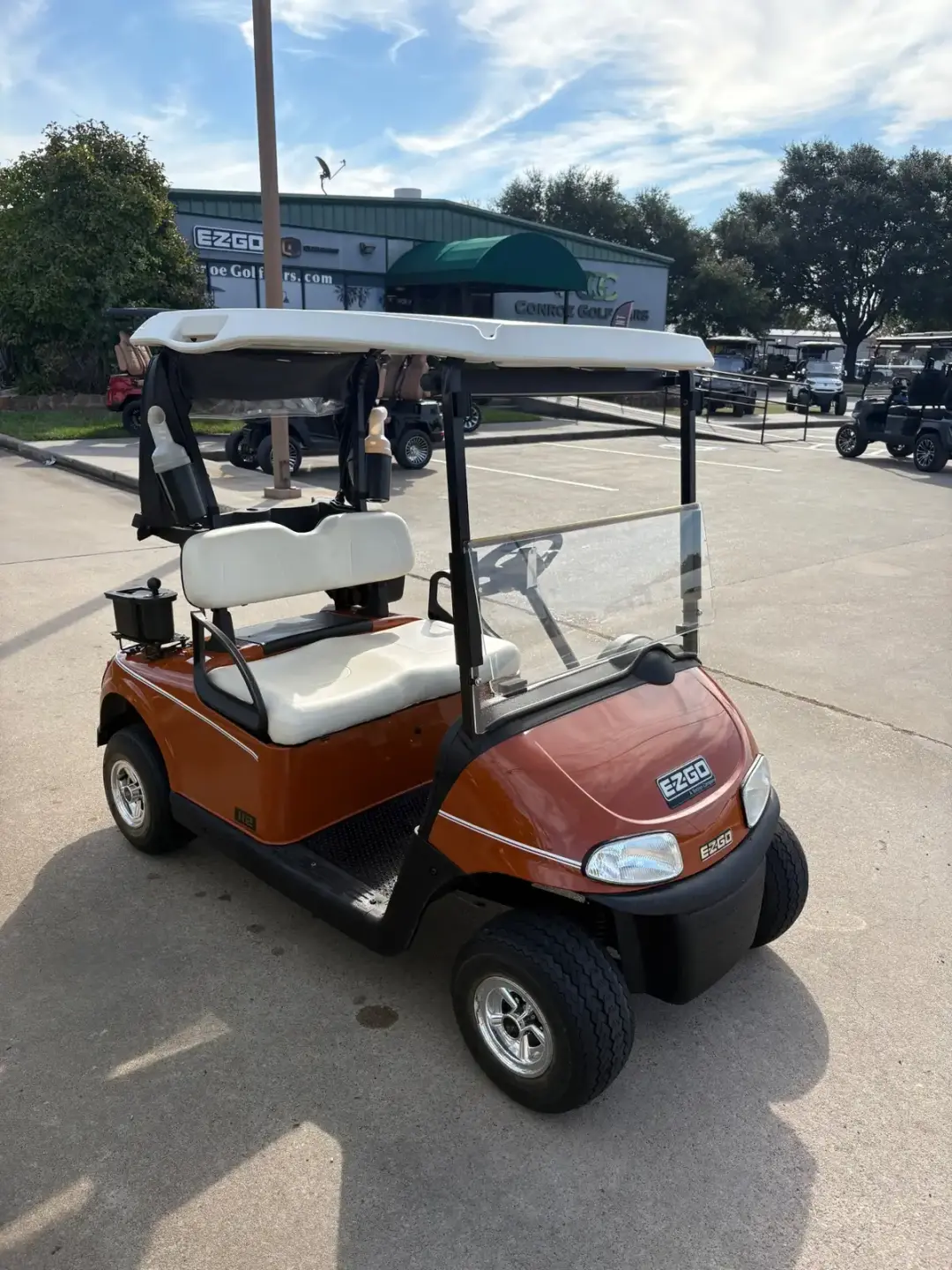 2016 E-Z-GO RXV photo 3