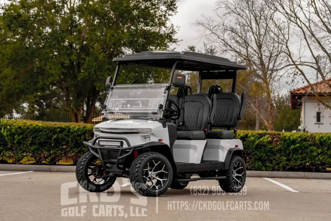 2026 Denago Rover XL Lithium photo 1