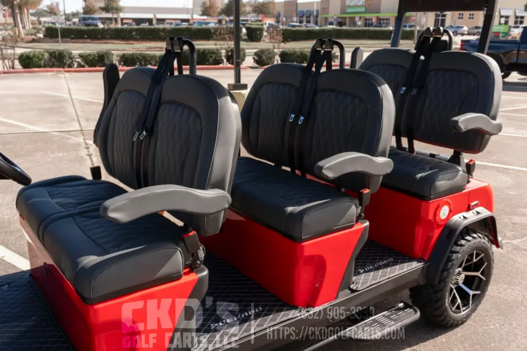 2026 Denago Rover XXL Lithium photo 19