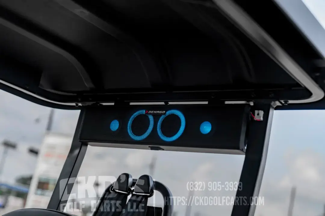 2026 Denago Rover XXL 6-Forward Passenger Limo photo 24