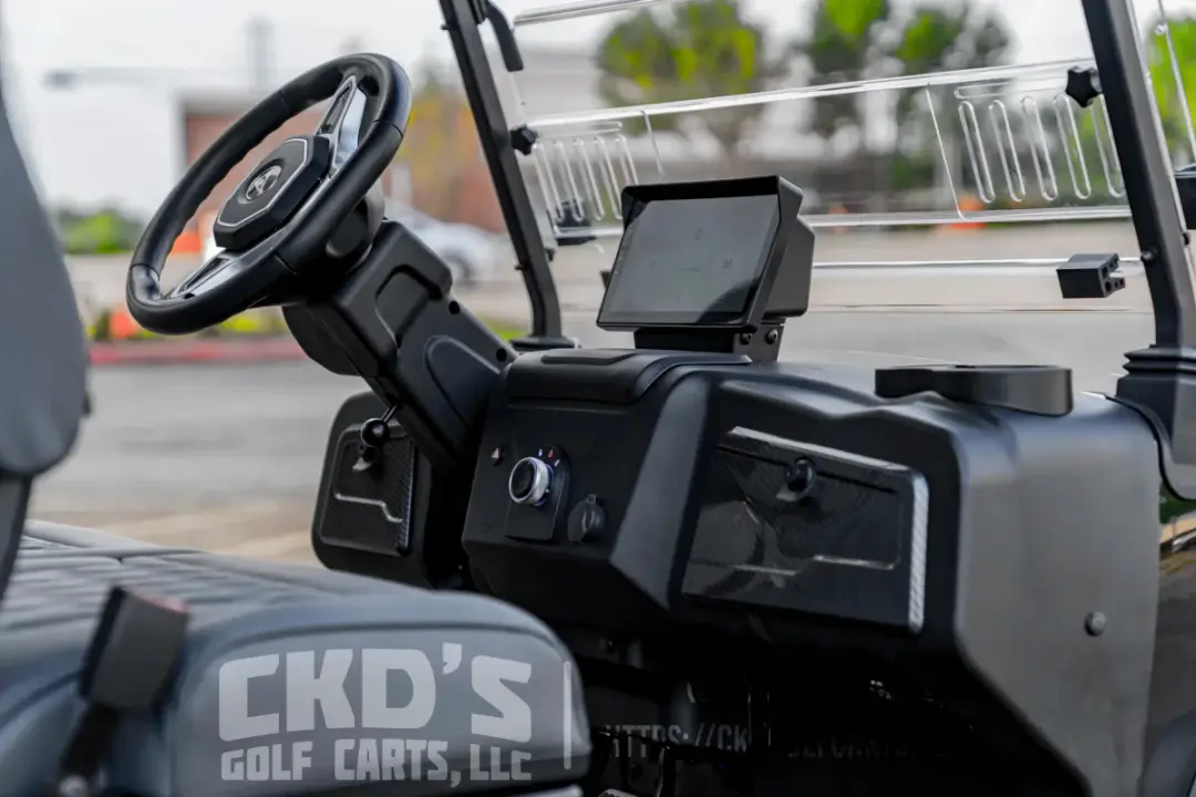 2026 Denago Rover XXL 6-Forward Passenger Limo photo 17