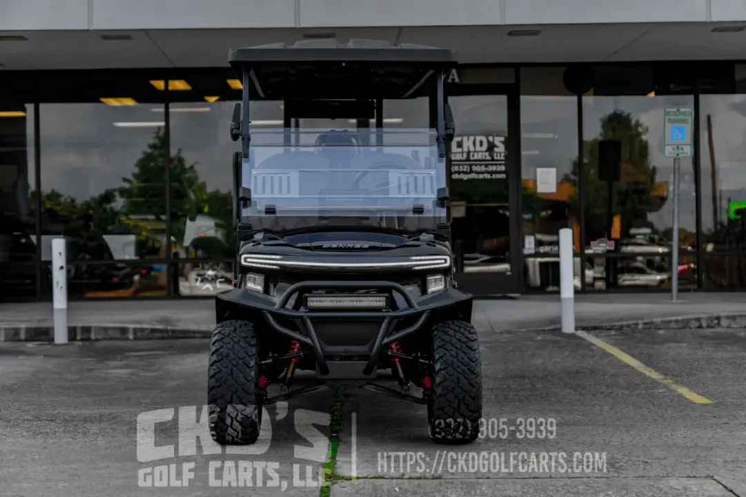 2026 Denago Rover XXL 6-Forward Passenger Limo photo 2