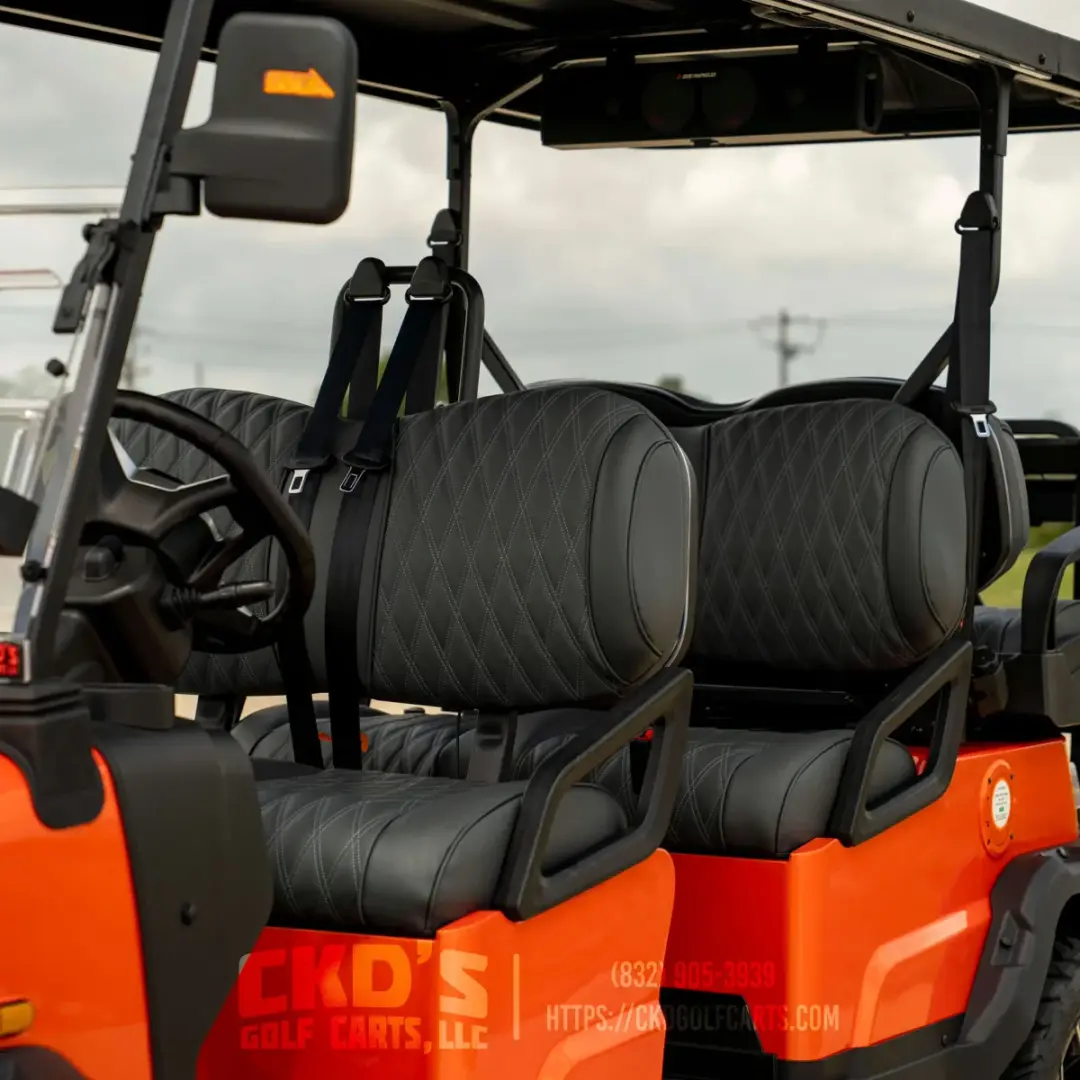 2026 Denago Rover XL 6 Lithium photo 5