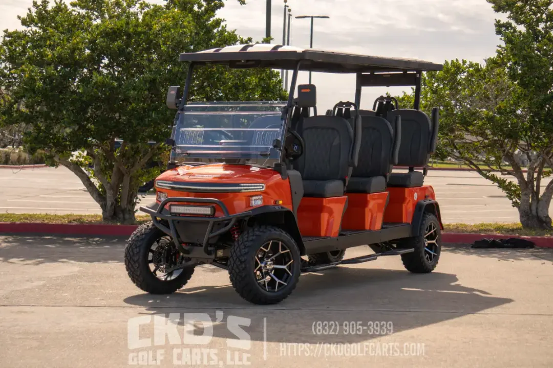 2026 Denago Rover XXL photo 1