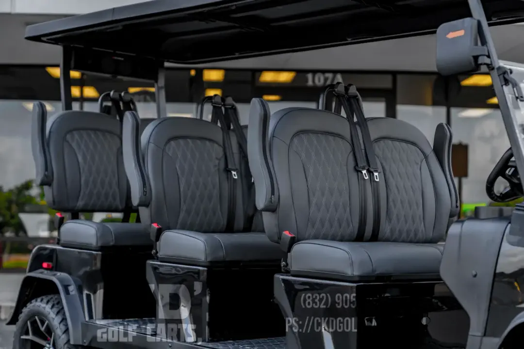 2026 Denago Rover XXL 6-Forward Passenger Limo photo 4