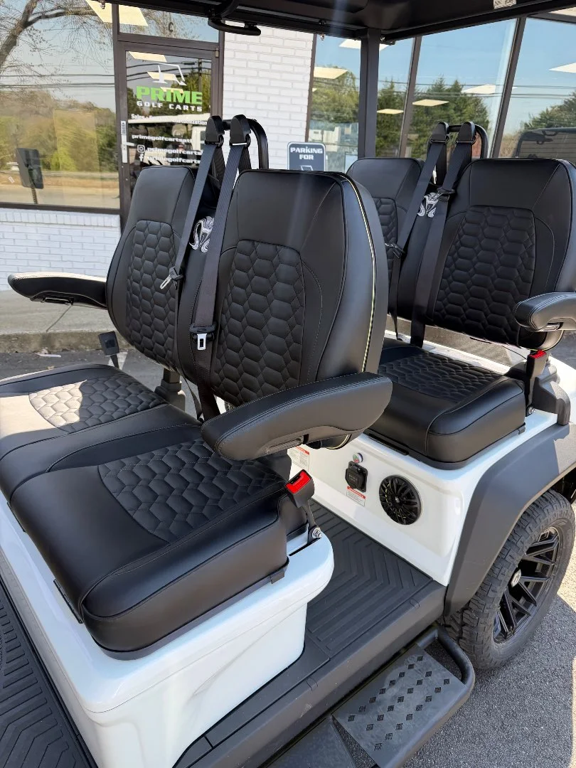 2026 Venom EV Stealth 0% Financing, FREE DELIVERY photo 4