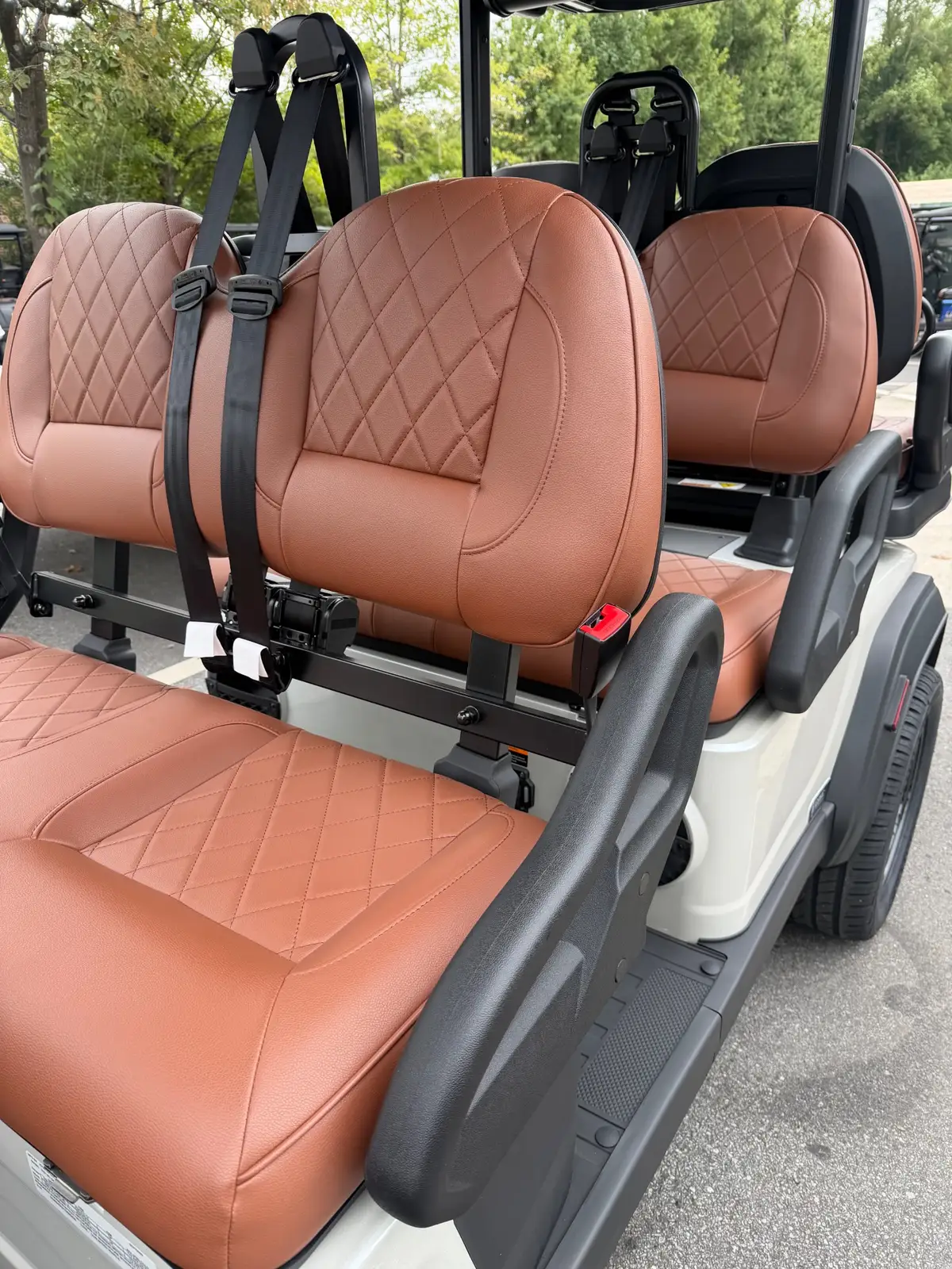 2026 ICON i60LX photo 6