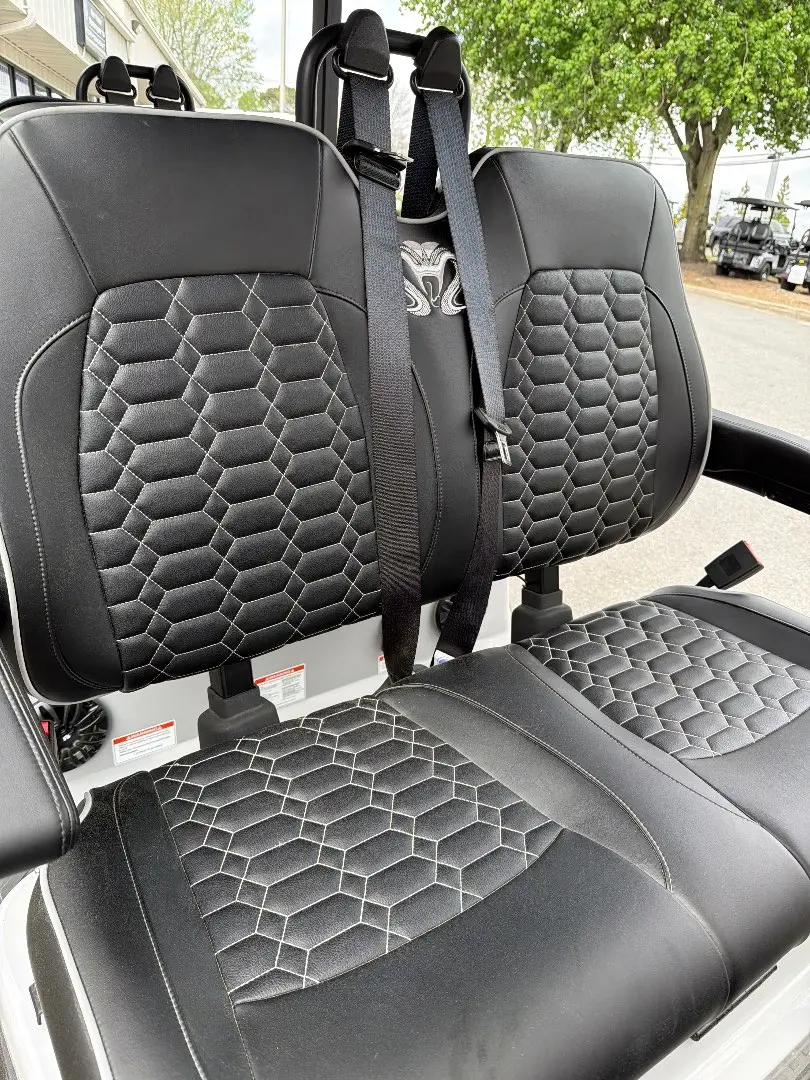 2026 Venom EV Stealth 0% FINANCING FREE DELIVERY photo 4