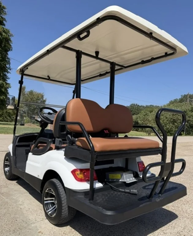 2023 Advanced EV EV1 4 Passenger photo 3