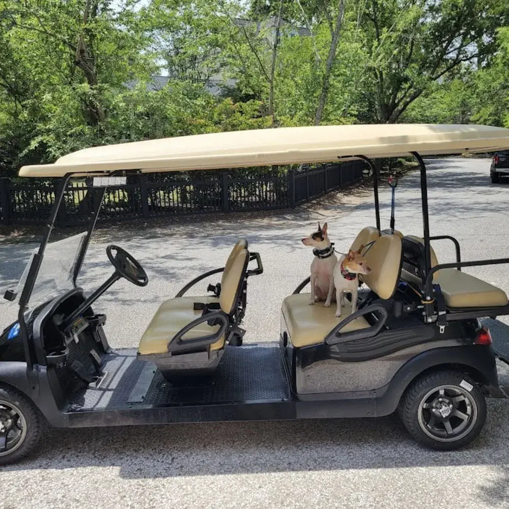 2007 Club Car DS Electric photo 5