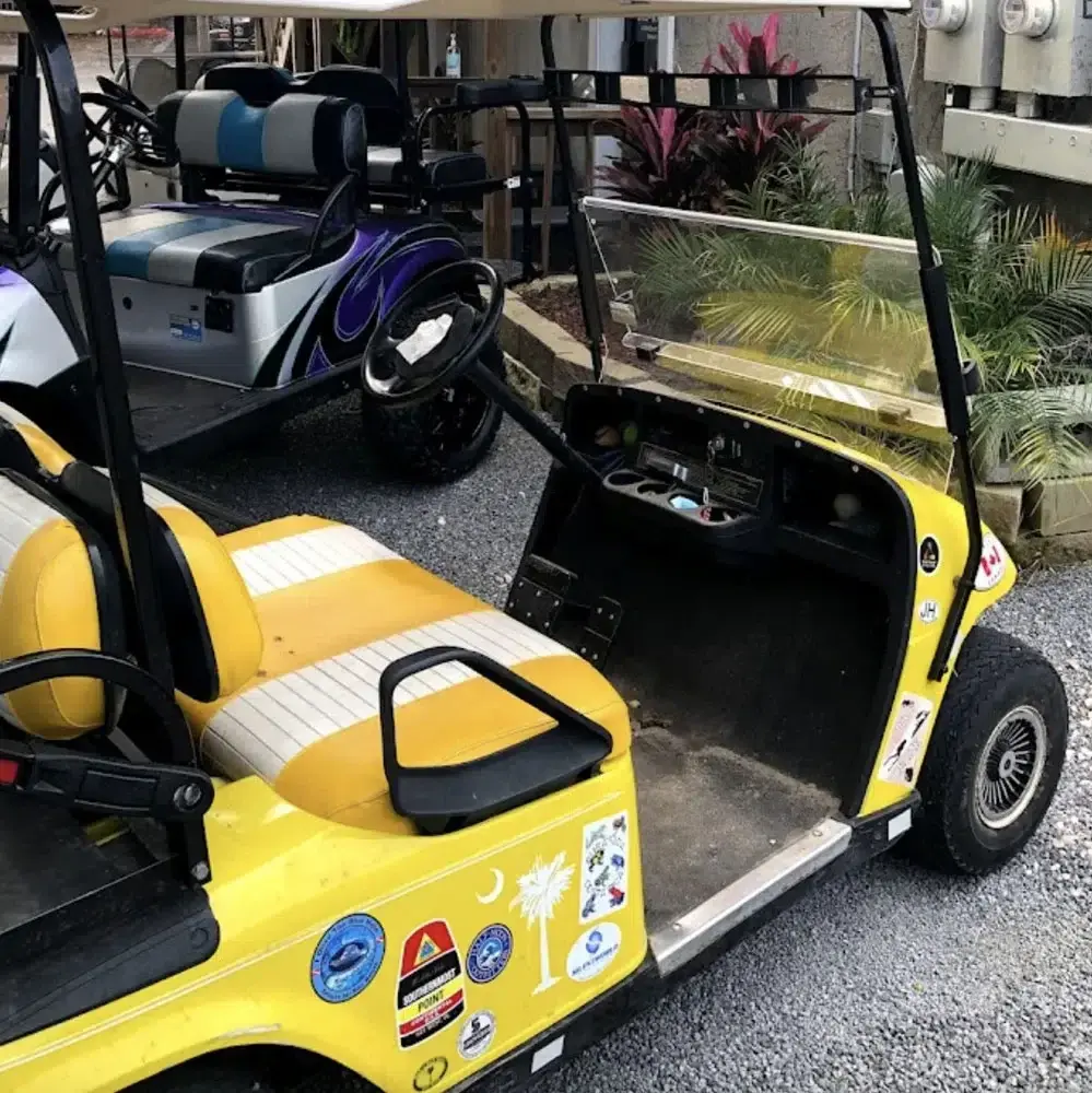 2007 Club Car DS Electric photo 28