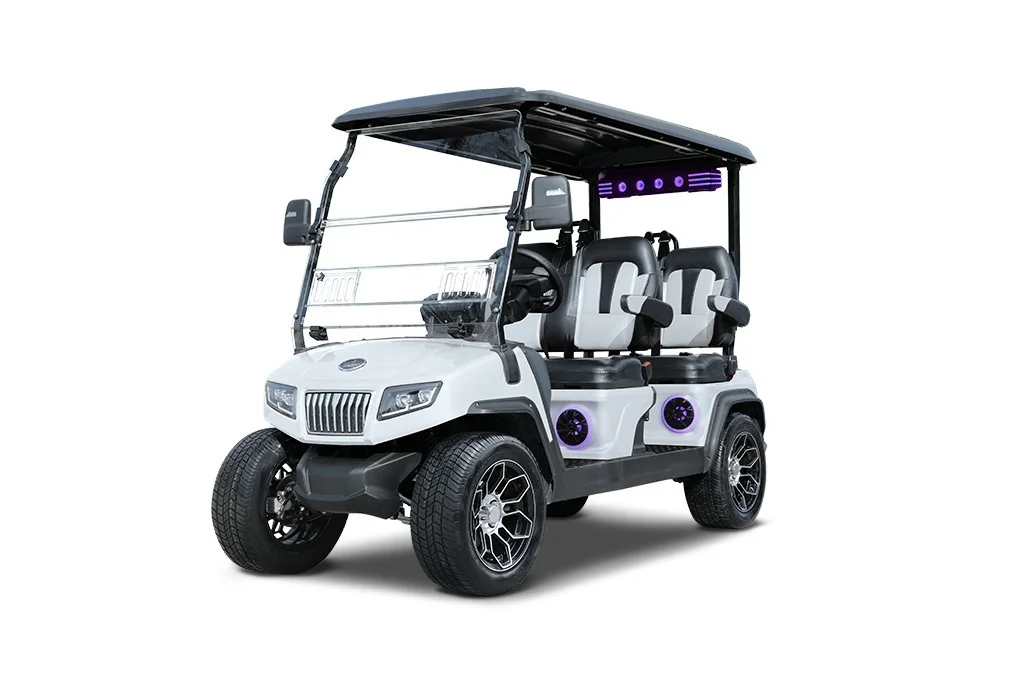 2026 Evolution Electric Vehicles, Inc. D5 Ranger 4 Plus photo 3