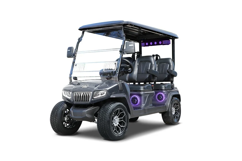 2026 Evolution Electric Vehicles, Inc. D5 Ranger 4 Plus photo 6