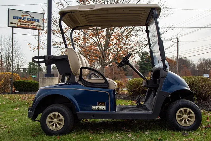 2018 E-Z-GO RXV photo 5
