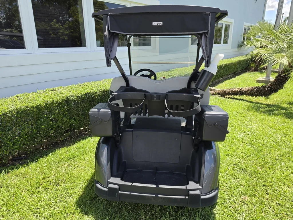 2024 E-Z-GO RXV EX1 Gas photo 8