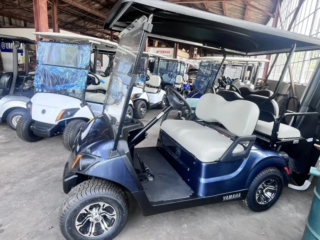 2020 Yamaha Fleet DC photo 3