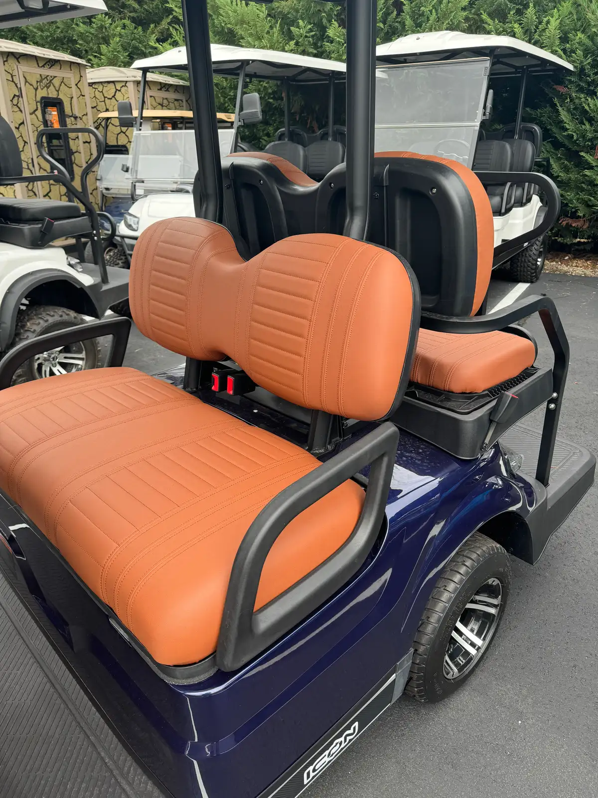 2025 ICON G60 photo 5