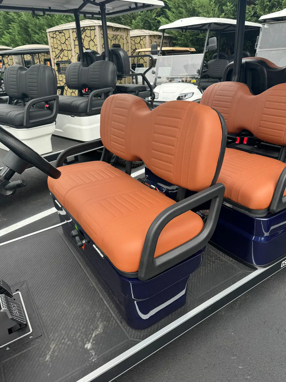 2025 ICON G60 photo 6