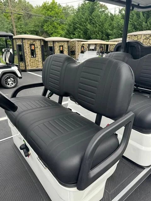 2025 ICON G60L photo 4