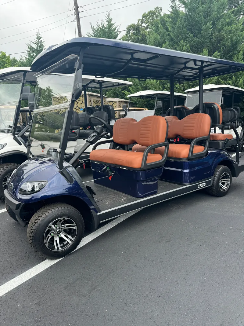2025 ICON G60 photo 11