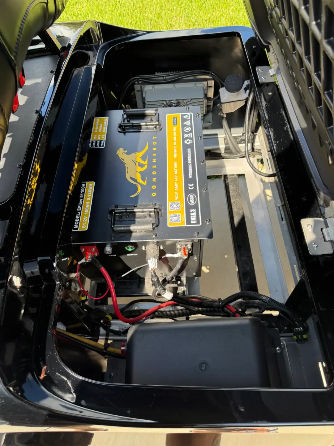 2025 Advanced EV Monster EV 4L photo 7