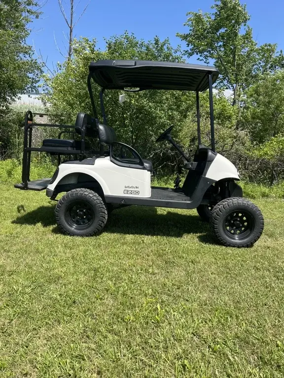 2015 E-Z-GO RXV photo 1