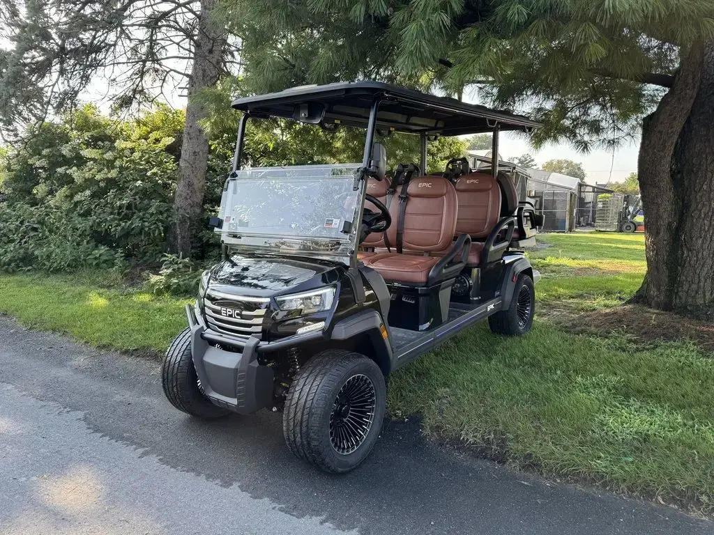 2026 Epic Carts E60FX photo 1