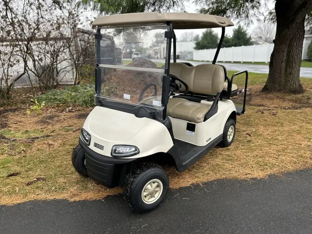 2019 E-Z-GO RXV photo 1