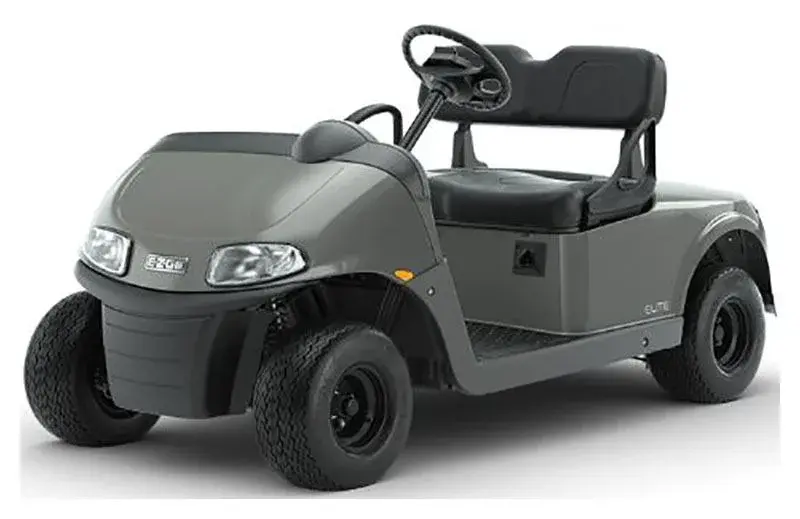 2021 E-Z-GO Freedom ELiTE Lithium photo 1
