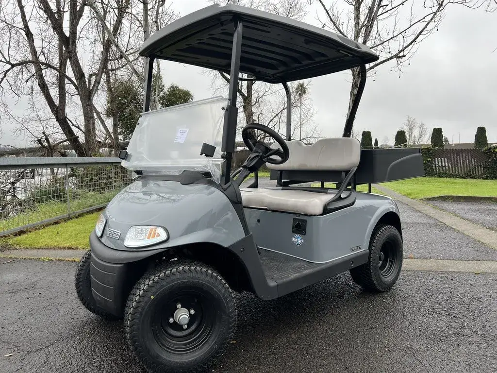 2020 E-Z-GO Freedom photo 1