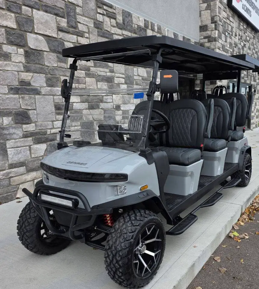 2026 Denago Rover XL 6 Street Legal photo 1