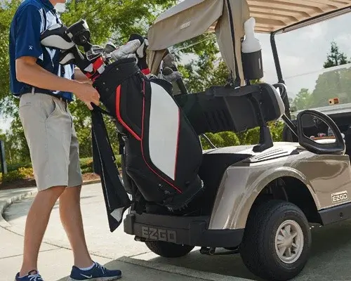 2016 E-Z-GO RXV photo 1