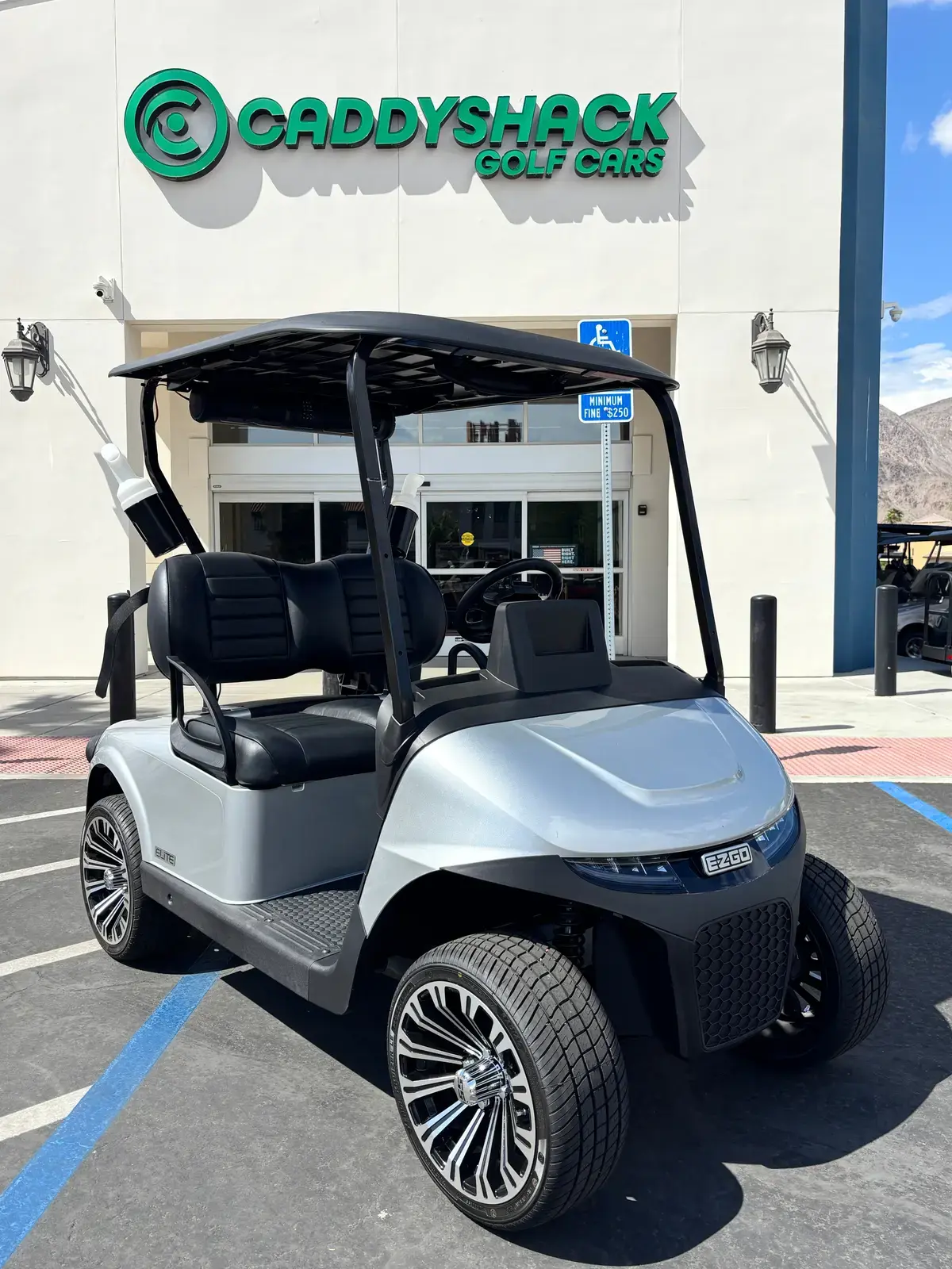 2026 E-Z-GO Freedom photo 1
