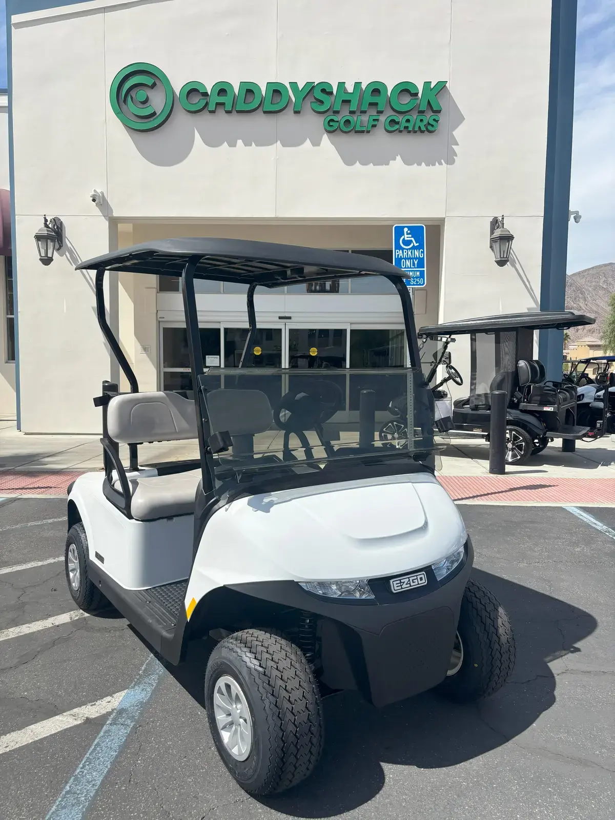 2026 E-Z-GO Freedom photo 1