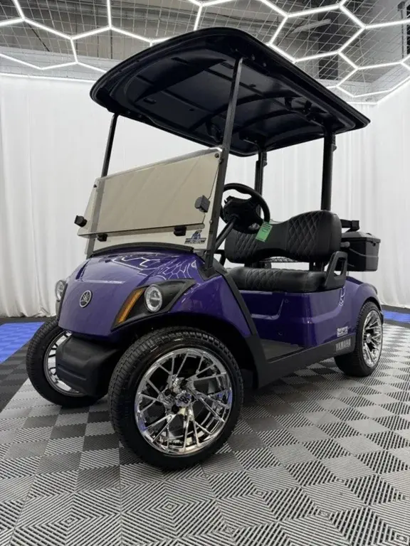 2021 Yamaha Drive2 QuieTech EFI photo 1