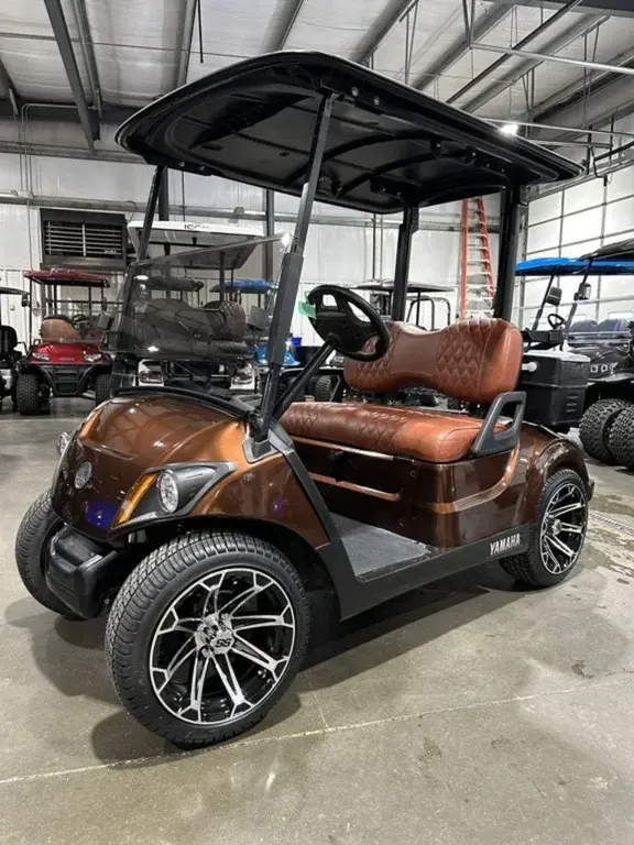 2021 Yamaha Drive2 QuieTech EFI photo 1