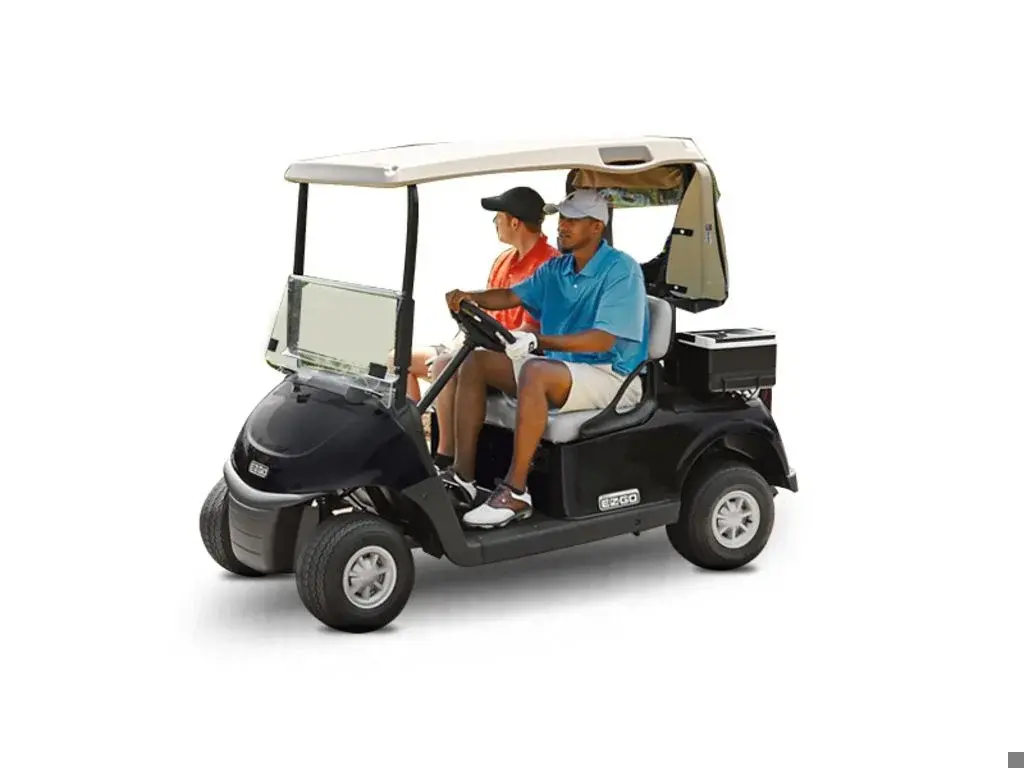 2017 E-Z-GO RXV photo 1