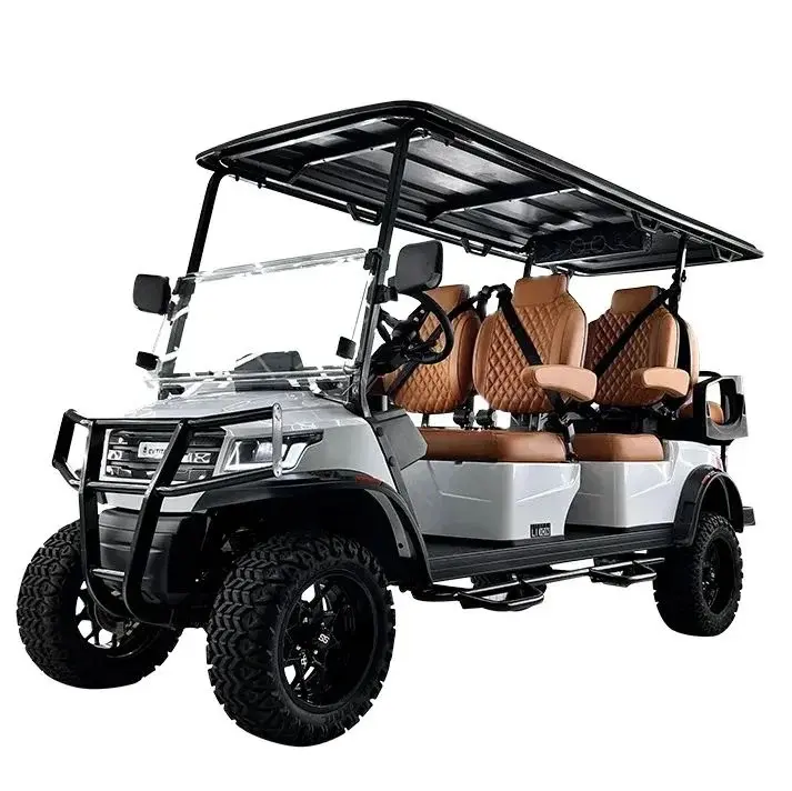 2025 Other ROVER  SEATER photo 1