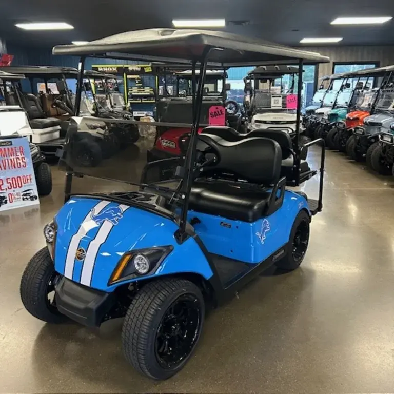 2021 Yamaha Drive2 QuieTech EFI photo 1