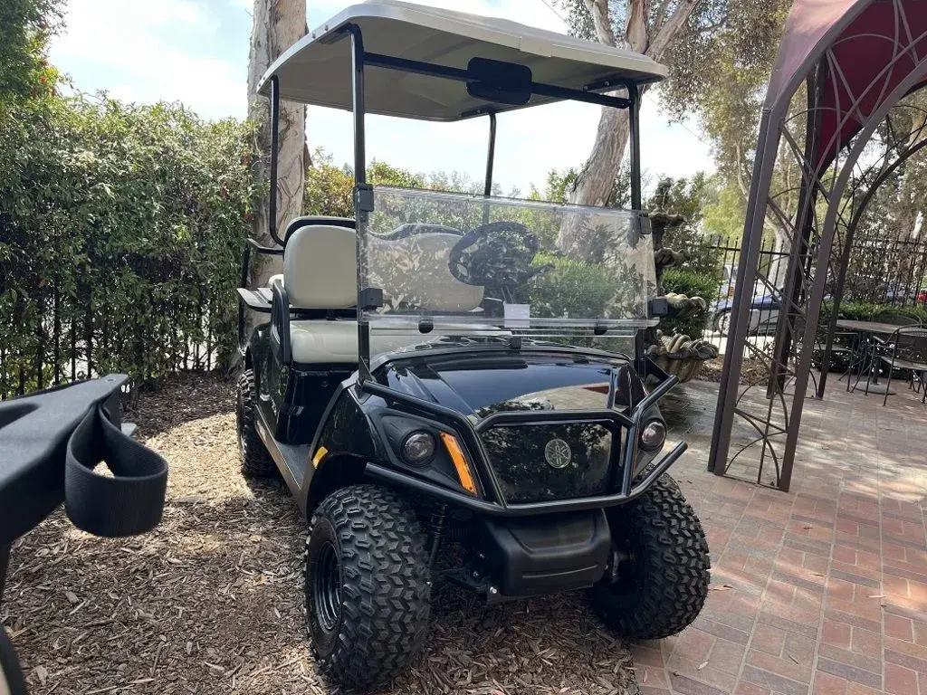 2025 Yamaha Drive2 Adventurer® Sport 2+2 AC photo 1