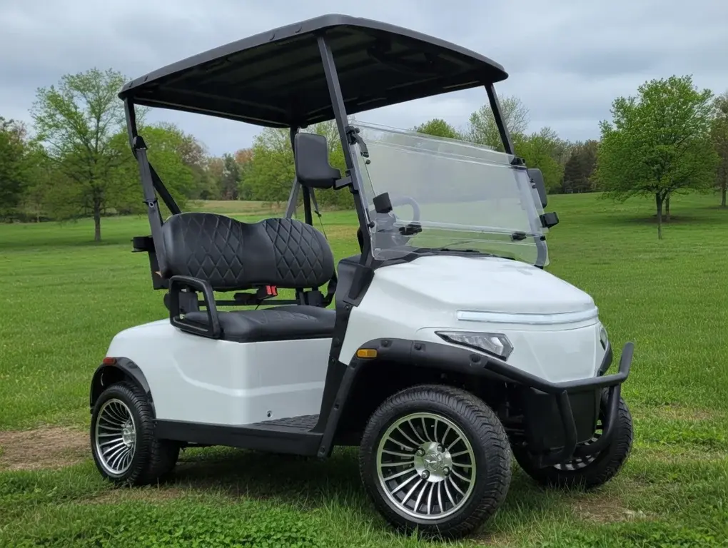 2026 Denago Scout photo 1