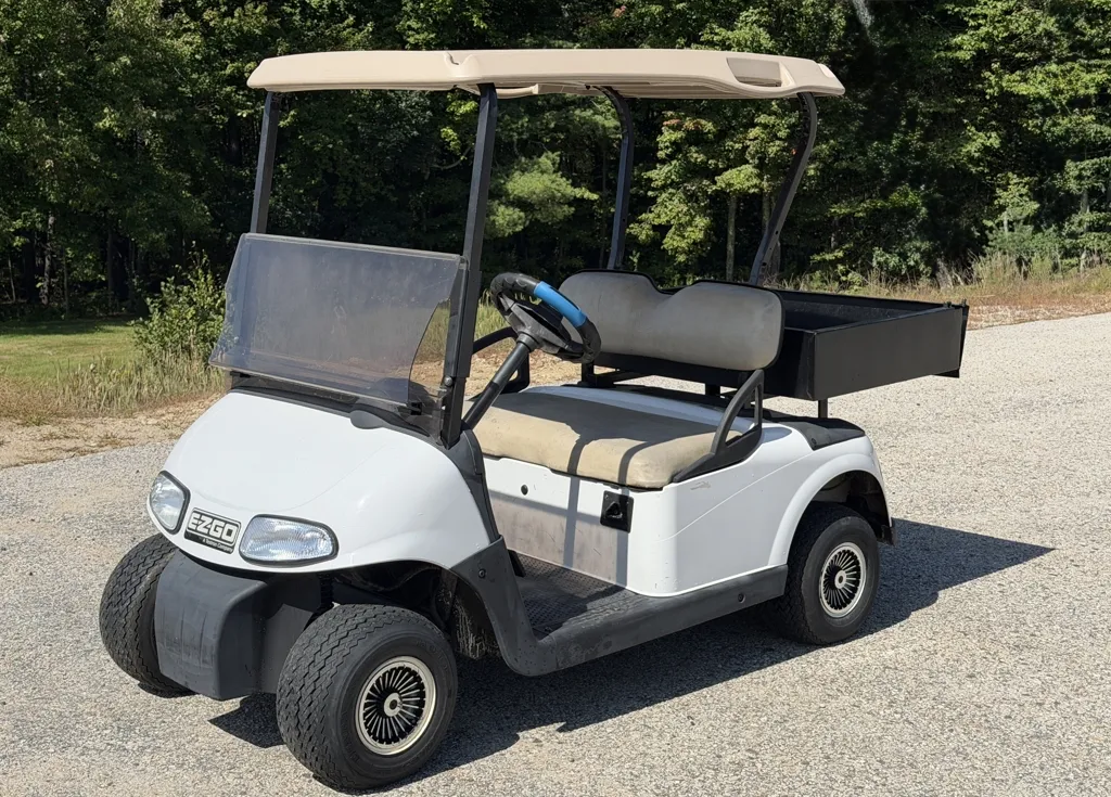 2013 E-Z-GO RXV photo 1