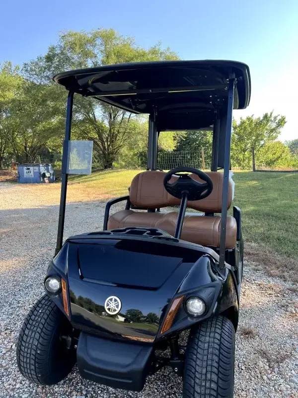 2025 Yamaha Golf Cars Drive 2 | G29 photo 1