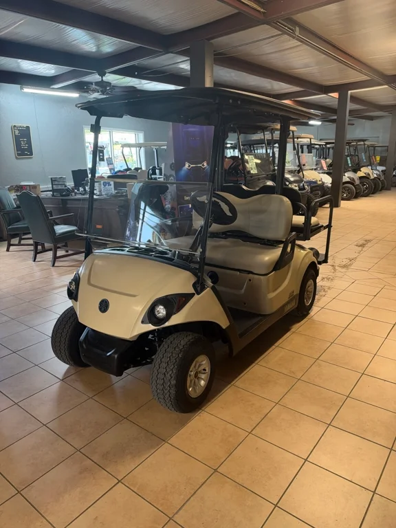 2021 Yamaha DR2EV2XACIRS photo 1