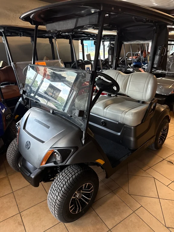 2025 Yamaha DR2EZ1CUPL photo 1