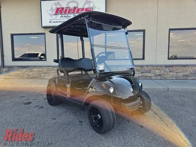 2009 Yamaha Drive Electric photo 1
